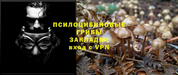 таблы Гусь-Хрустальный