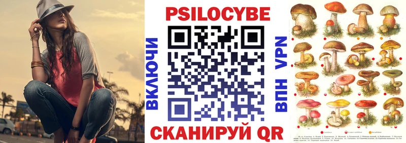 даркнет состав  Ильский  Галлюциногенные грибы прущие грибы  ссылка на мегу вход 